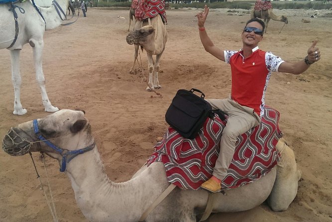 Dromedary Safari: 2 Hours - Tour Overview