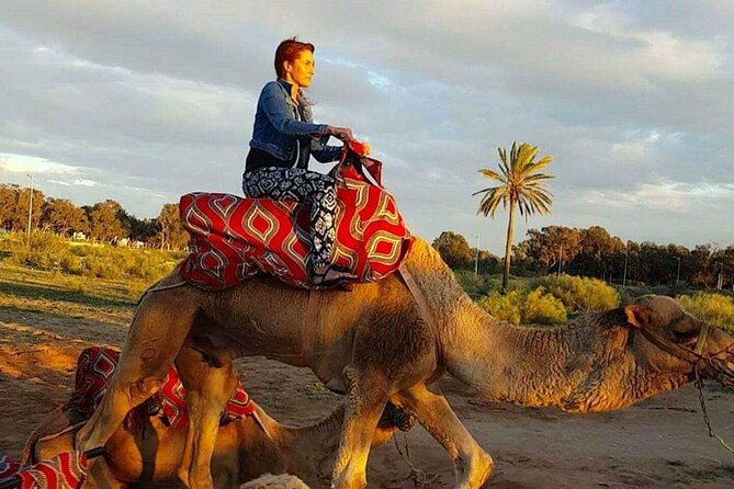 Dromedary Safari: 2 Hours - Experience and Expectations
