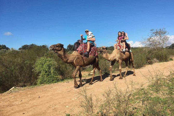 Dromedary Safari: 2 Hours - Customer Feedback