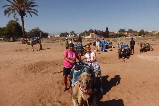 Dromedary Safari: 2 Hours - Camel Welfare