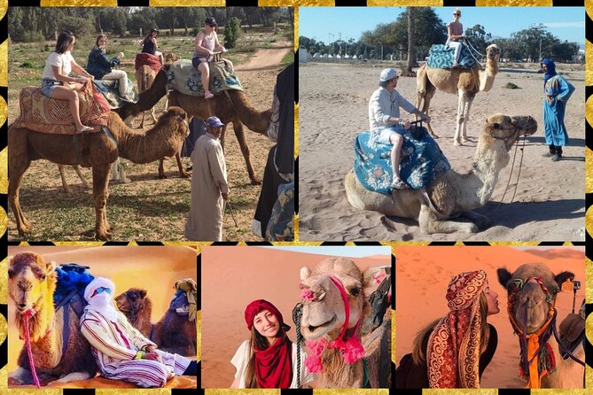 Dromedary Safari: 2 Hours - Personalized Safari