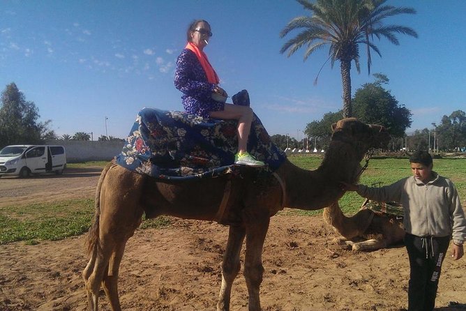 Dromedary Safari: 2 Hours - Booking and Cancellation