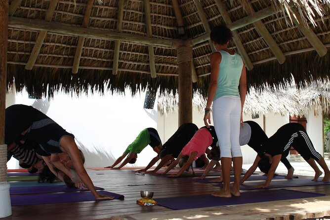 Drop-In Group Yoga Class - Punta Cana - Included Amenities