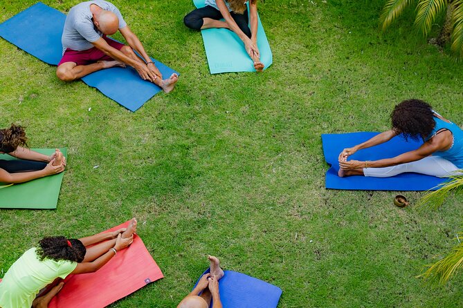Drop-In Group Yoga Class - Punta Cana - Accessibility and Participation