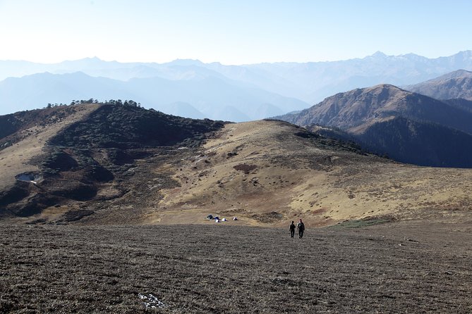 Druk Path Trek: Discover The Raw Natural Beauty of Bhutan - Trekking Through Alpine Landscapes