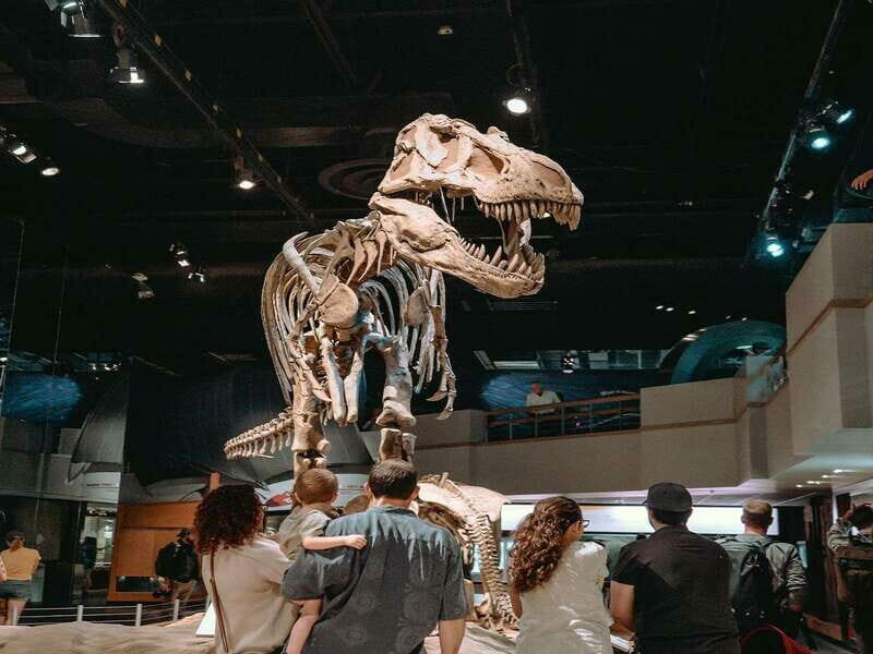 Drumheller: Bad Land & Dinosaur Museum Tour from Calgary - Who Should Consider This Tour?