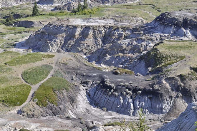 Drumheller (Dinosaur Valley) & Horseshoe Canyon 1-Day Tour - Exclusions