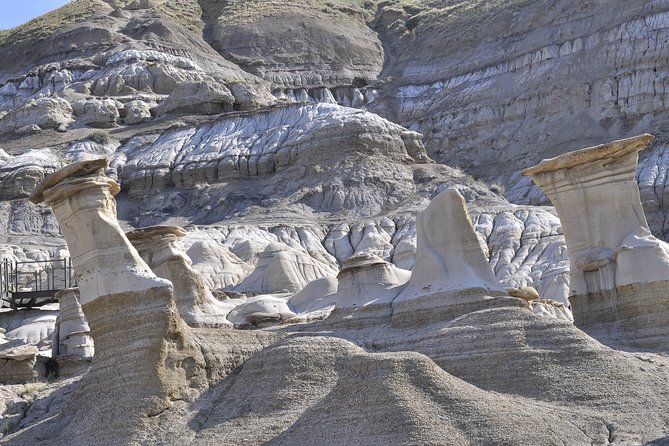 Drumheller (Dinosaur Valley) & Horseshoe Canyon 1-Day Tour - Operated by Calgary Tours