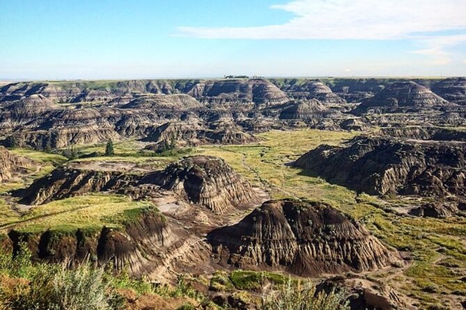 Drumheller (Dinosaur Valley) & Horseshoe Canyon 1-Day Tour - Additional Details