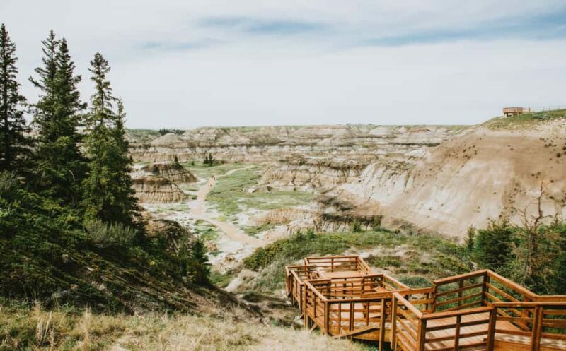 Drumheller: Dinosaurs, Museum, & Hoodoos Day Tour - Key Points