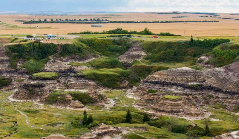 Drumheller: Dinosaurs, Museum, & Hoodoos Day Tour - Value for the Price