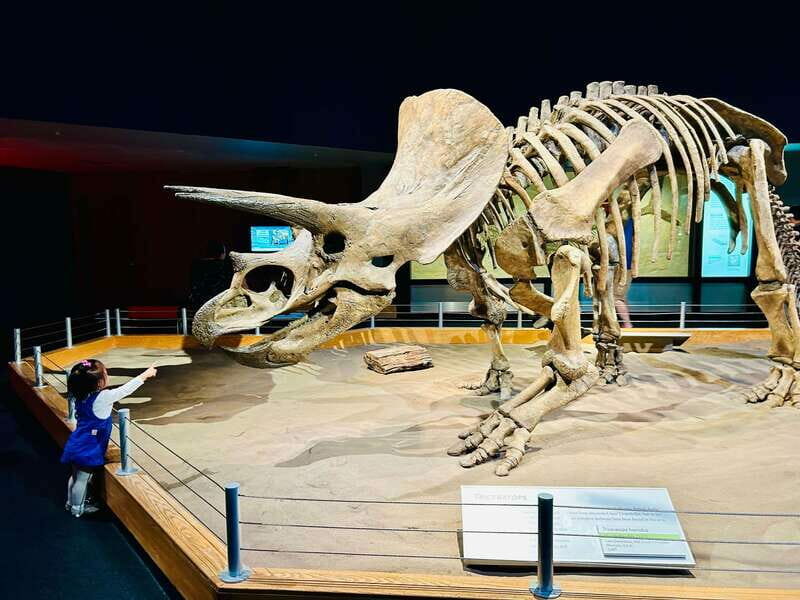 Drumheller Full-day Private Sightseeing Tour - Key Points