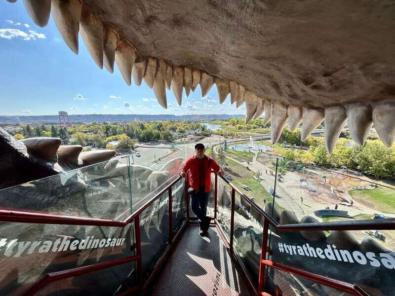 Drumheller Full-day Private Sightseeing Tour - Who Should Consider This Tour?