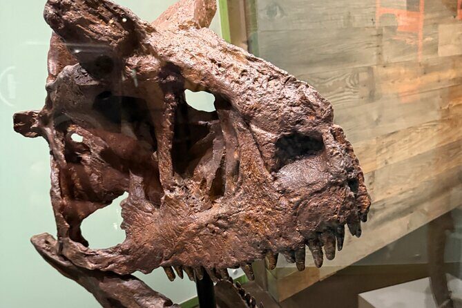 Drumheller & Hoodoos Day Trip from Calgary, Explore the Badlands - Who Should Consider This Tour?