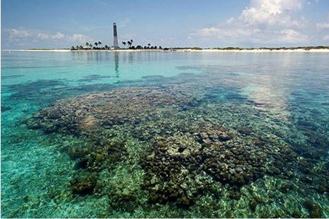 Dry Tortugas National Park Day Trip by Catamaran From Key West - Scenic Cruise and Views