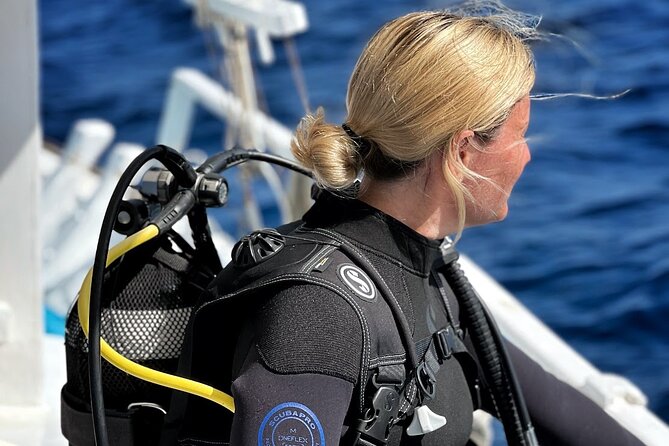 DSD Discover Scuba Diving Experience in Paros - Contact and Support