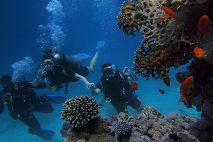 DSD Discover Scuba Diving for a Beginner Or Certified - Customer Satisfaction and Reviews