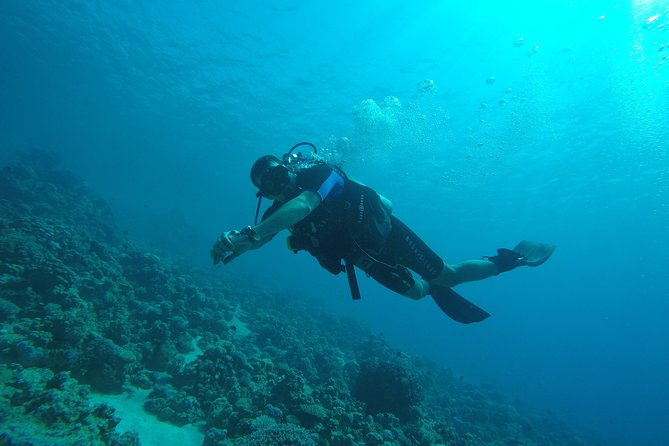 DSD Discover Scuba Diving (Min Age 10 Years) - Pickup and Meeting Point