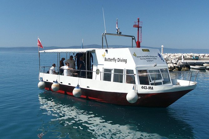 DSD - First Time Diving Course - Activity Duration and Accessibility