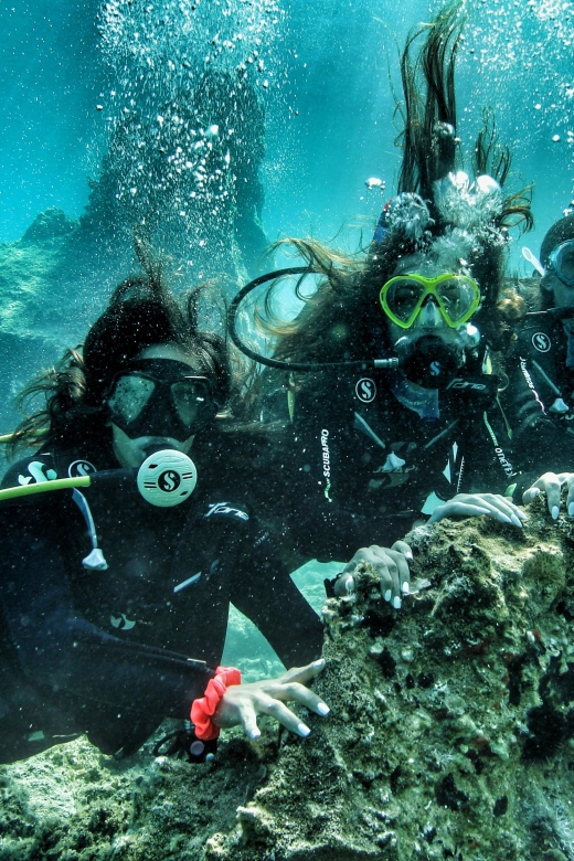 DSD | Guided Scuba Diving Experience in Paros - Whats Included