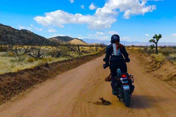Dual Sport Motorcycle Rental in Greater Palm Springs Area - Reviews and Ratings