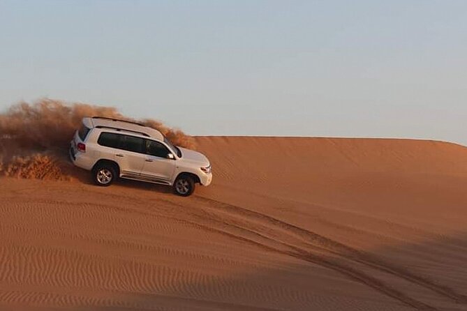 Dubai Afternoon Desert Safari and BBQ Dinner - Inclusions and Activities