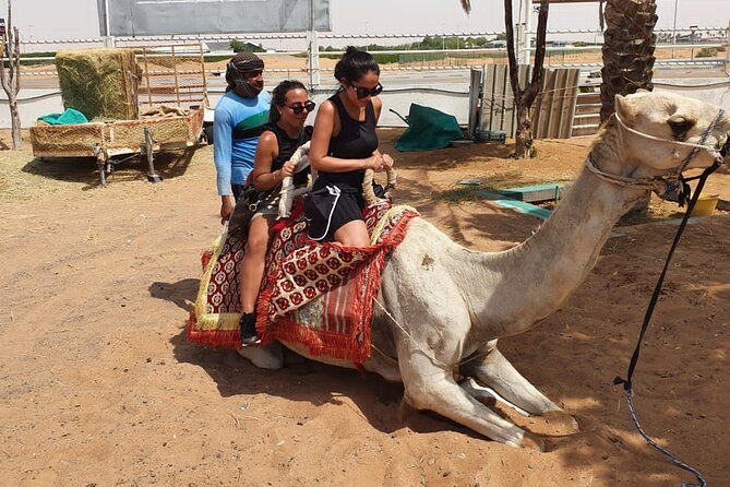 Dubai: All Inclusive Desert Safari With Atv, Camel, Horse Ride, Vip & More - Entertainment and Refreshments
