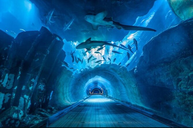 Dubai Aquarium and Underwater Zoo - Location and Overview