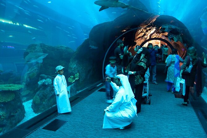 Dubai Aquarium and Underwater Zoo - Activity Schedule
