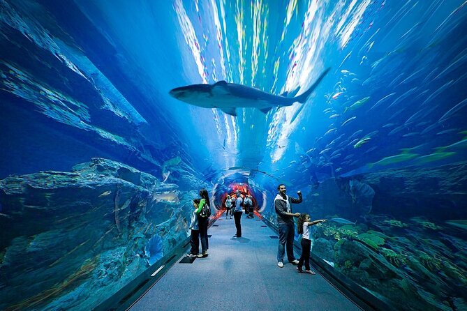 Dubai Aquarium and Underwater Zoo - Visitor Reviews