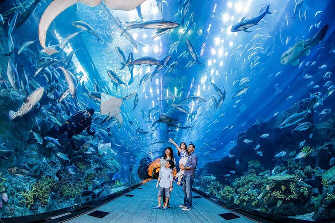 Dubai Aquarium and Underwater Zoo - Questions About Your Stay