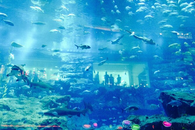 Dubai Aquarium and Underwater Zoo - Booking Your Stay
