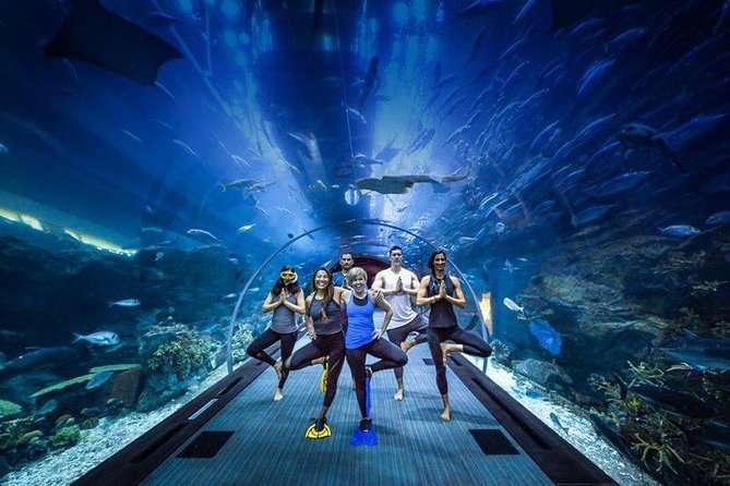 Dubai Aquarium and Underwater Zoo Admission Ticket With Options - Included and Excluded