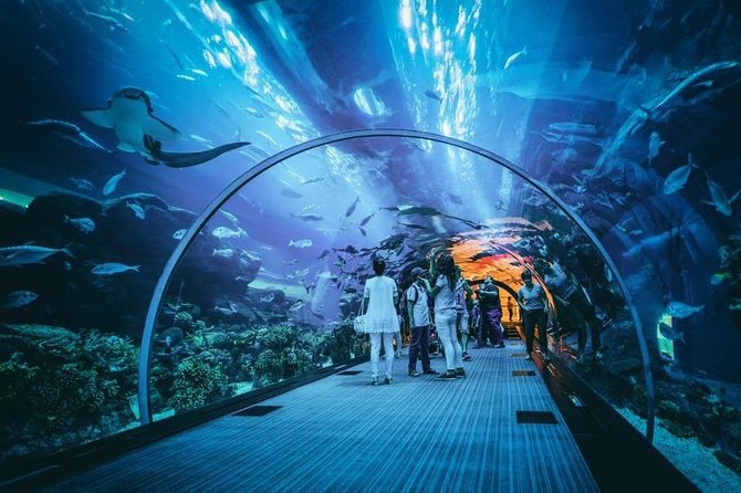 Dubai Aquarium and Underwater Zoo Admission Ticket With Options - Discover King Croc