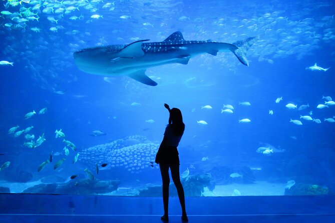 Dubai Aquarium and Underwater Zoo - Accessibility and Operating Hours