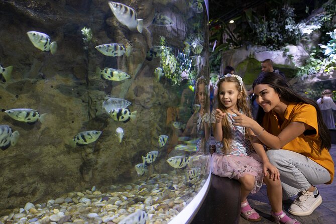 Dubai Aquarium and Underwater Zoo Entrance Ticket - Meeting and Pickup Details