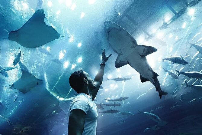 Dubai Aquarium And Underwater Zoo Tickets At Dubai Mall - Additional Information
