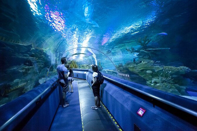Dubai Aquarium and Underwater Zoo With Penguin Cove - Admission Prices and Inclusions