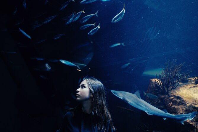 Dubai Aquarium and Underwater Zoo With Penguin Cove - Unique Experiences Offered