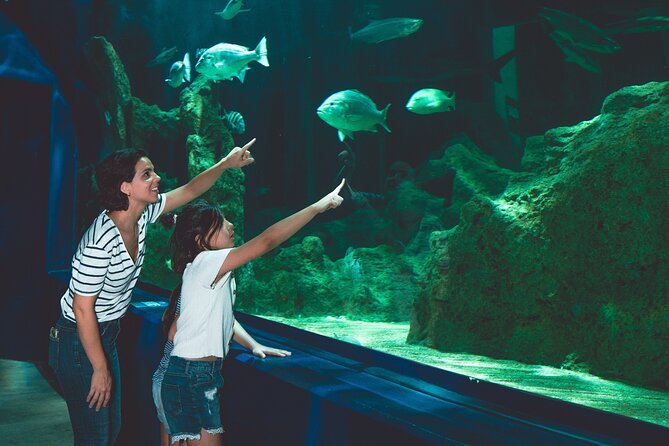 Dubai Aquarium and Underwater Zoo With Penguin Cove - Visitor Reviews and Feedback