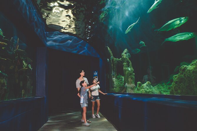 Dubai Aquarium and Underwater Zoo With Penguin Cove - Booking Process Details