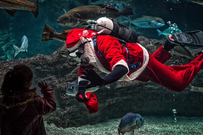 Dubai Aquarium and Underwater Zoo With Penguin Cove - Tips for an Enjoyable Visit