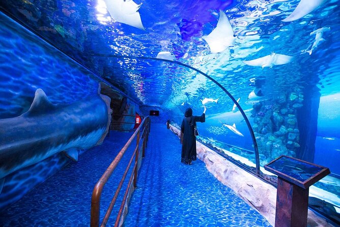 Dubai Aquarium and Underwater Zoo With Penguin Cove Tickets. - Admission Tickets and Pricing
