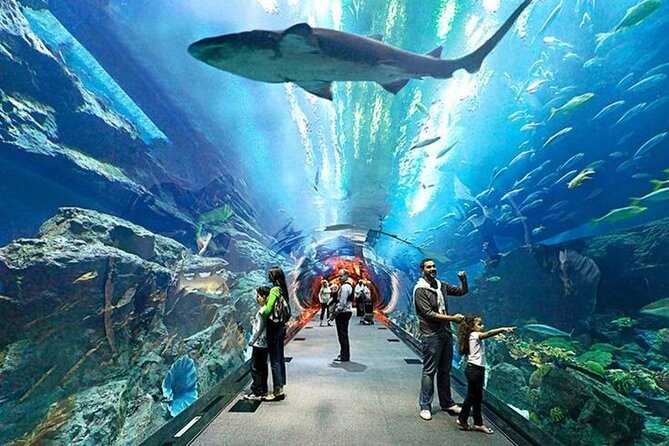 Dubai Aquarium and Underwater Zoo With Penguin Cove Tickets. - Booking and Confirmation