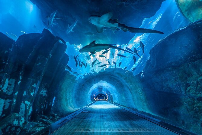 Dubai Aquarium and Underwater Zoo With Penguin Cove Tickets. - Planning Your Visit