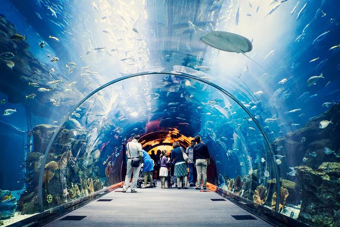 Dubai Aquarium + Penguin Cove Tickets With Transfers - Ticket Pricing and Options