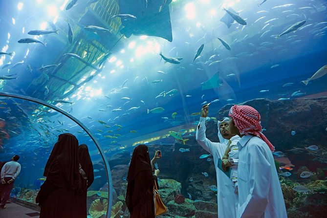 Dubai Aquarium + Penguin Cove Tickets With Transfers - Booking and Cancellation Policies
