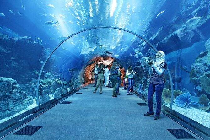 Dubai Aquarium & Under Water Zoo With Penguin Cove Option - Aquarium Highlights
