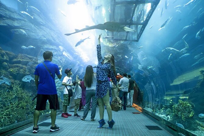 Dubai Aquarium & Under Water Zoo With Penguin Cove Option - Ticket Inclusions