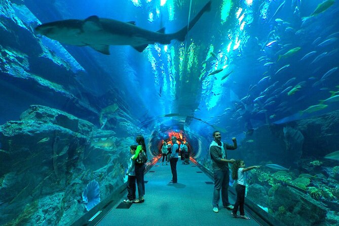 Dubai Aquarium & Underwater Zoo - Captivating Underwater Tunnel